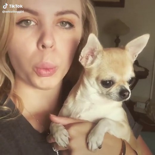 Dobby Growls During Harry Potter Theme Song?!