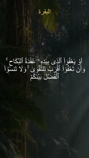 Quran Kareem Surat Albaqara Ayah 237 سوره البقره Mashary