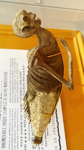 The Fiji Mermaid: A 19th Century Hoax Unveiled