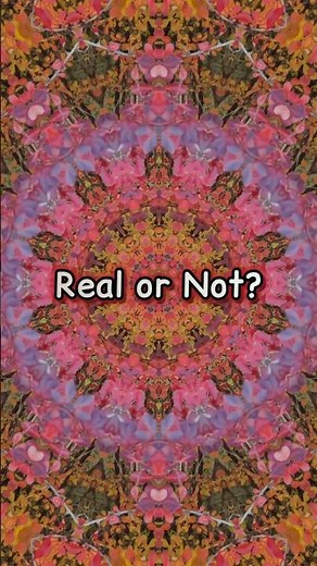 These Patterns Will Trick Your Eyes!