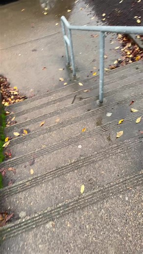 ⛤ ᗯEᔕTEᖇᑎ (ᑕITᖇᑌᔕ’ᔕ ᗯIᖴE!) ⛤ (@zsh_p2)’s videos with original sound - ⛤ ᗯEᔕTEᖇᑎ (ᑕITᖇᑌᔕ’ᔕ ᗯIᖴE!) ⛤