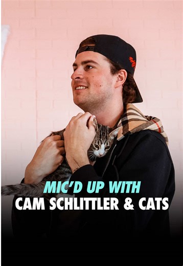 Cam's Visit to Cats & Caffeine in Tampa