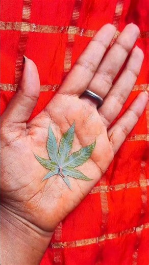 #mehandi #henna #art #mehndi #shortvideo #viralvideo