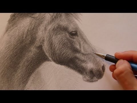 The SECRET to improving your artwork - Sketchendeavour Week 1