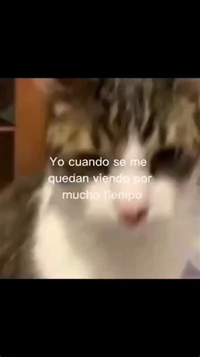 liz on Instagram: "Qué es la fotosíntesis? (Explicación clara y sin imágenes) La fotosíntesis es el proceso mediante el cual las plantas verdes, las algas y algunas bacterias producen su propio alimento utilizando la energía de la luz solar. En términos muy simples: Las plantas toman dióxido de carbono (CO₂) del aire y agua (H₂O) del suelo, usan la energía de la luz del sol y fabrican glucosa (un tipo de azúcar que les sirve de alimento y energía) y liberan oxígeno (O₂) al ambiente. La ecuación