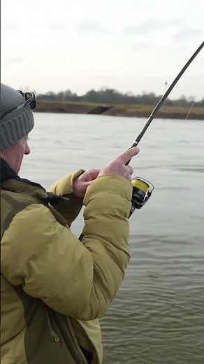 Sta je rustig te vissen, klapt er een meerval op…🎣🐌
