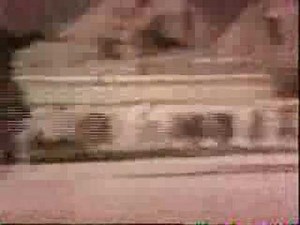 Sesame Street - I'm A Hard Workin' Dog