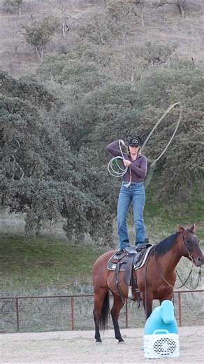 358K views · 9K reactions | 聯 #chelseytrickropes #forupage #roping #ropetricks #horses #cowboyschoice #fyp #cricket #turtlebox #trending #forupageシ | Chelsey Bushnell Trick Roping | Facebook