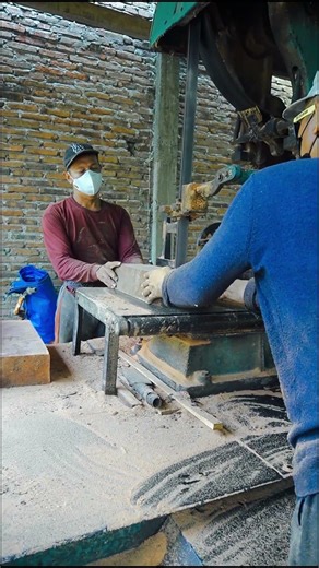 Cutting Old Sapodilla Tree With Custom Sawmill! #woodworking#chainsaw#treecutting