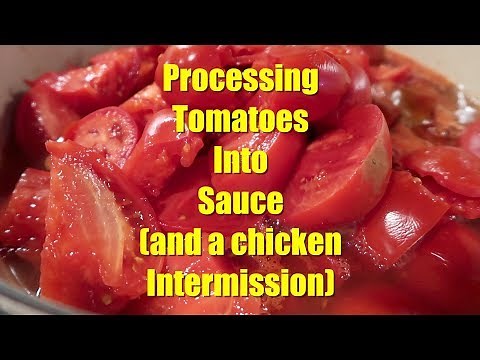 Processing Tomatoes into Sauce using a Food Mill