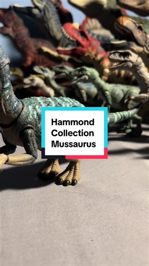Explore the Hammond Collection Mussaurus Toys
