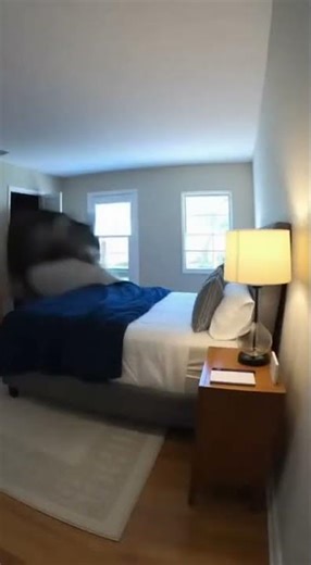 The Giant Husky Sprint – Too Cute to Handle! 🐶💨