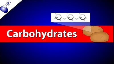 Carbohydrates