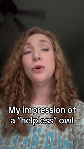 A helpless owl #owl #owlimpression #helpless #hamilton #eliza
