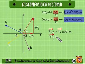 Como descomponer un vector en sus componentes X y Y. FÁCIL