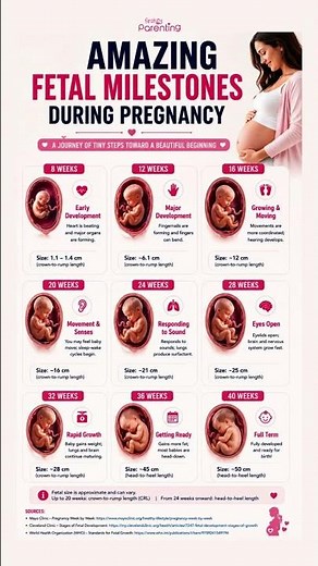 Fetal Development Milestones Week by Week: Amazing Baby Growth in the Womb