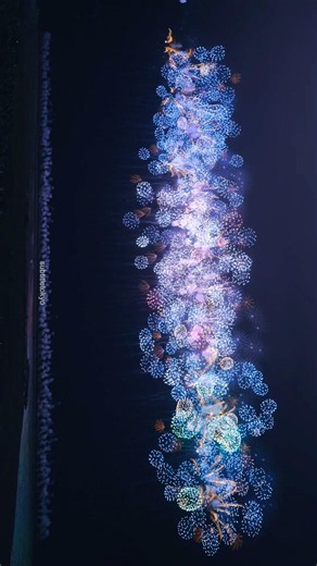 尺玉100発一斉打上其の2🧨🌈🎇ぎおん柏崎まつり 海の大花火大会2026🎇開催直前の大雨からの奇跡の開催🔥 #新潟 #kashiwazaki #柏崎 #ぎおん柏崎まつり