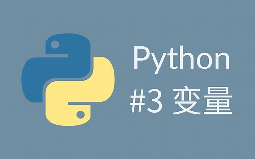 #3 Python 教程 怎样在VS Code里运行Python？Python变量是什么？Python原始类型是什么？