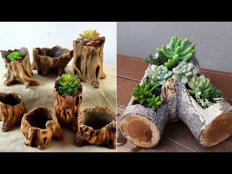 Small home garden design easy and beautiful garden design ideas