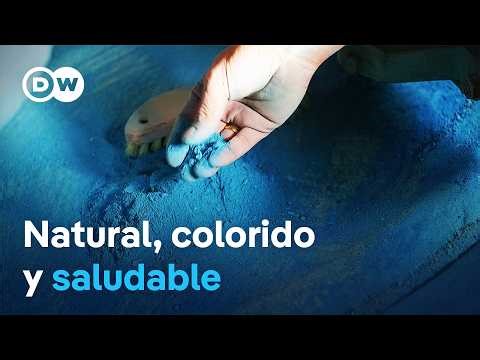 La magia de los colores | DW Documental