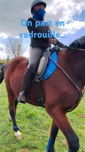 Départ du pré à cheval !🐴 ❤️