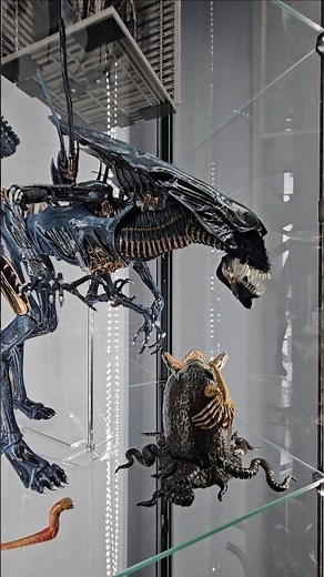 👽 The Aliens Queen. #aliens #alien #predator #actionfigures