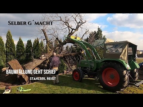 Stahlseil reißt, Baumfällung geht schief | Fendt Farmer im Wald | Husqvarna im Einsatz