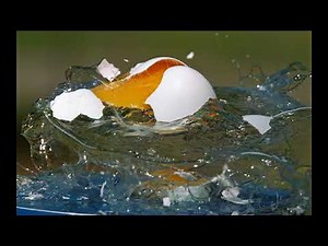 Phantom Camera Captures Whip Shattering an Egg