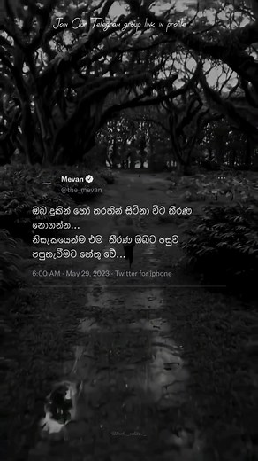 @The Mevan | 🩸✨ #the_mevan #advice #fyp #foryou #new #viral #foryoupage #psychology #quotes #facts