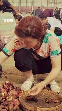 குட்டி மனிதர்களை பார்க்க வைக்கும் அரிய காளான்கள்