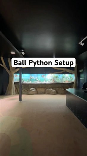 Ball Python Setup 23FT Long!