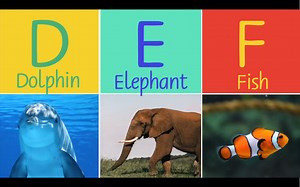 【英文儿歌】 Animal ABC Song for Children