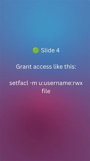 When chmod Is Not Enough 🔐