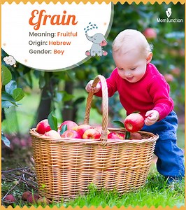 Efrain Name Meaning, Origin, And History: A Complete Guide