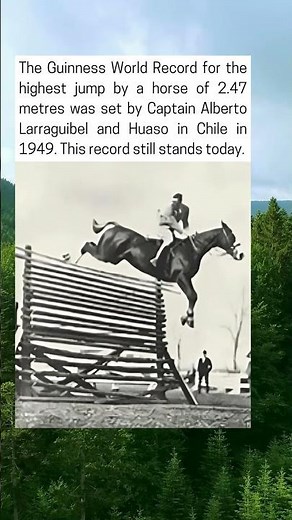 Huaso, The Horse That Jumped 2.47 Meters