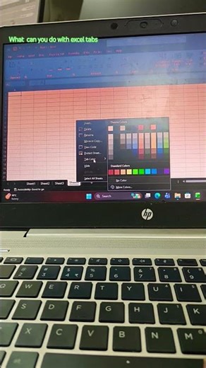 Microsoft excel tips , what can you do with excel tabs
