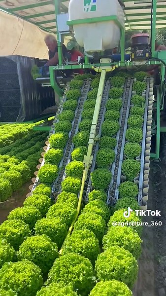 CANER YILMAZ on TikTok