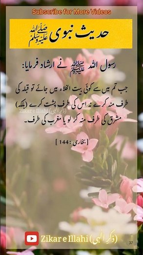 Hadees e Pak 💞 | Hadees Sharif 🥀 | Hadith in Urdu | Hadees Mubarak Islamic #shorts​ #hadees​ #short​