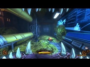 NATURAL SELECTION 2: UN ALIENIGENA CON MALAS PULGAS