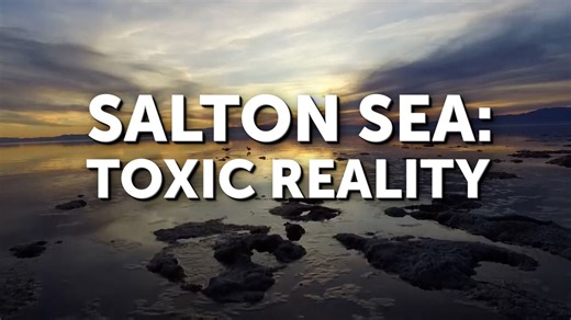 Salton Sea: Toxic Reality