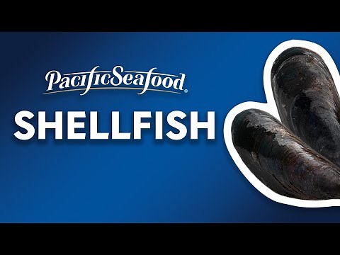 How Shellfish are Sustainably Produced | Full Documentary