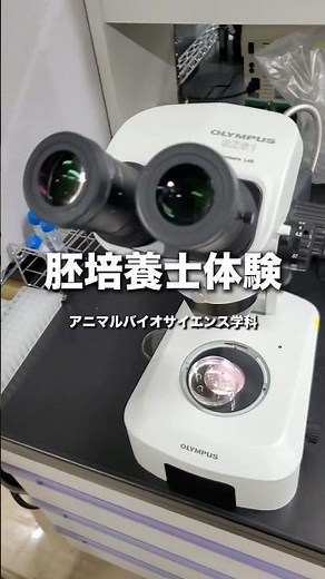 0.1mmの命を扱う最前線！受精卵研究のリアルを体験【長浜バイオ大学OC】