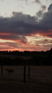 1.2K views · 73 reactions | Where life slows down and moments last longer. | South Australia | Facebook