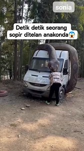 152K views · 1.3K reactions | This Is The Real Python  Dance #followerseveryone #python #life | Steve Entertainment | Facebook