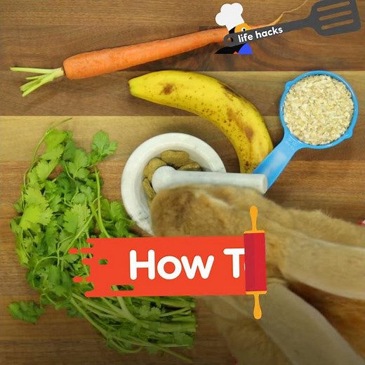 How To Make Bunny Treats | The Dodo