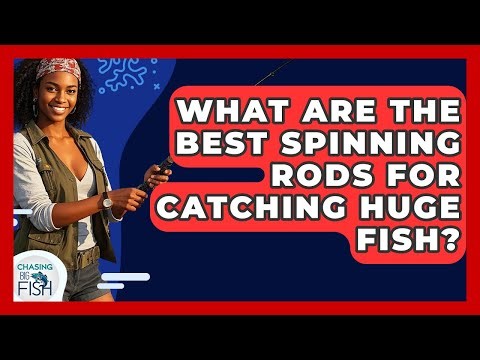 What Are The Best Spinning Rods For Catching Huge Fish? - Chasing Big Fish