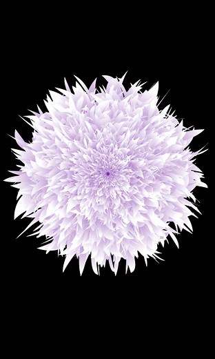 Abstract Flower in Illustrator, Make Your Design #fblifestyle Follow Me For More Tutorials! #adobeillustrator #graphicdesign #illustrator #tutorial #tipsandtricks #flowers #Design #adobephotoshop | Graphix Santo