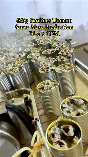 Direct from factory! 425g Canned Sardines in Tomato Sauce for Dominican Republic & Caribbean.