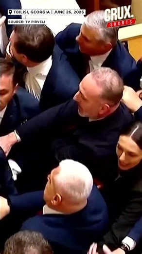Brawl breaks out in Georgian parliament during Prime minister's annual report