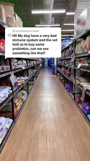 Best Probiotics for Dogs: Carna4 Flora4 Review